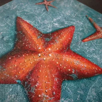 Étoiles de mer