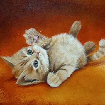 Des chatons