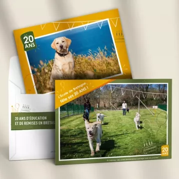 Chien guide d’aveugle de l’Ouest